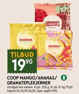 Coop Mega COOP MANGO/ANANAS/ GRANATEPLEKJERNER tilbud