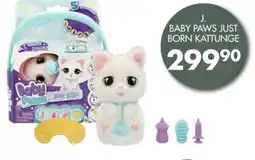 Sparkjøp Baby paws just born kattunge tilbud