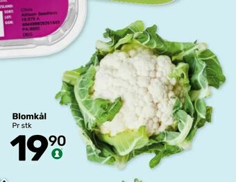 Coop Marked Blomkål tilbud