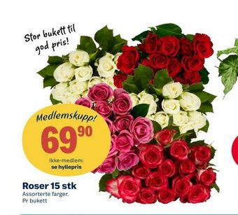 Coop Extra Roser 15 stk tilbud