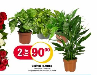 Coop Extra Grønne planter tilbud