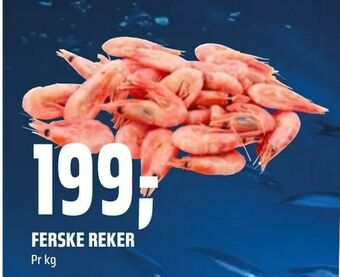 Coop Obs Ferske reker tilbud