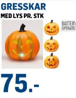 Price Lagerbutikk Gresskar med lys tilbud