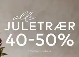 Skeidar alle JULETRÆR tilbud