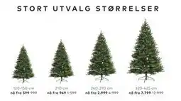 Skeidar STORT UTVALG STØRRELSER tilbud