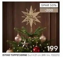 Skeidar ISTIND TOPPSTJERNE tilbud