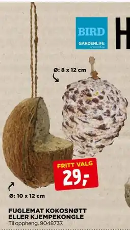 jem & fix FUGLEMAT KOKOSNØTT ELLER KJEMPEKONGLE tilbud