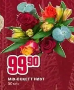 Europris Mix-bukett høst tilbud
