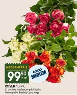 Coop Mega Coop Roser tilbud