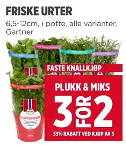 Meny Gartner friske urter tilbud
