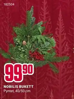 Europris NOBILIS BUKETT tilbud