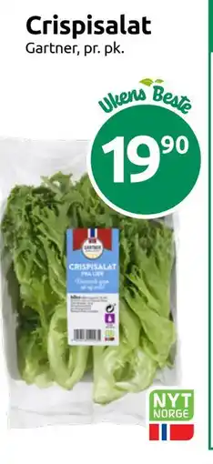 Joker Crispisalat tilbud