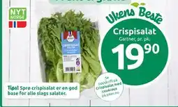 Joker Crispisalat tilbud