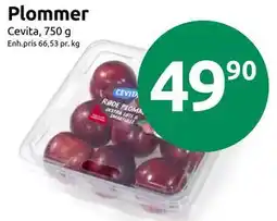 Joker Plommer tilbud