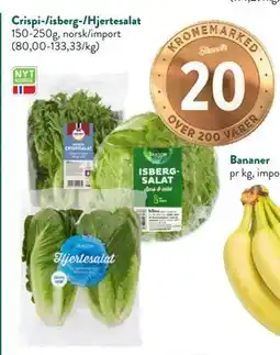 Jacobs Crispi-/isberg-/Hjertesalat tilbud
