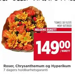Meny Roser, Chrysanthemum og Hyperikum tilbud