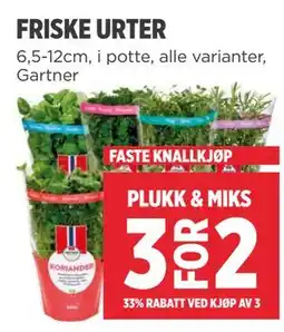 Meny FRISKE URTER tilbud