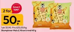 Gigaboks Skumpinner Mais & Hirse 6 mnd 40 g tilbud