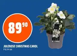 Coop Obs JULEROSE CHRISTMAS CAROL tilbud