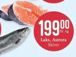 CC Mat Laks, Aurora Skiver tilbud