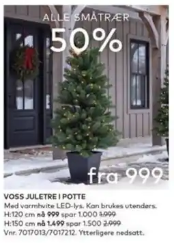 Skeidar Voss juletre i potte tilbud