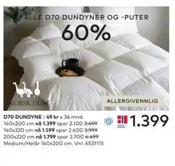 Skeidar D70 DUNDYNE tilbud