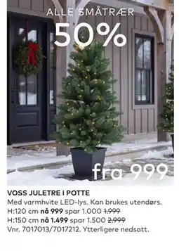 Skeidar VOSS JULETRE I POTTE tilbud