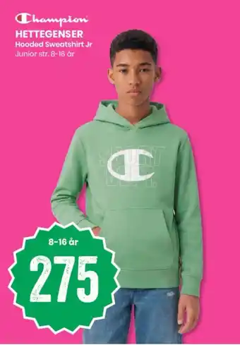 Champion Hettegenser