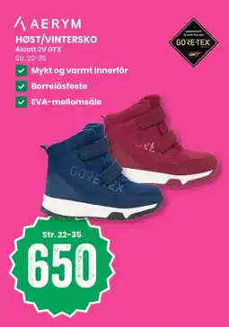 Sport Outlet Aerym Høst/Vintersko Alcott 2V GTX tilbud