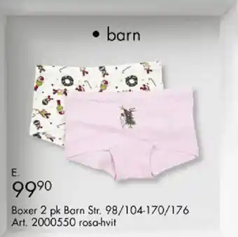 Barn Boxer