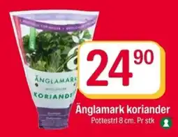 Coop Extra Ånglamark koriander tilbud