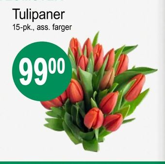 Joker Tulipaner tilbud