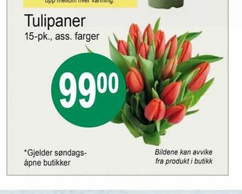 Joker Tulipaner tilbud