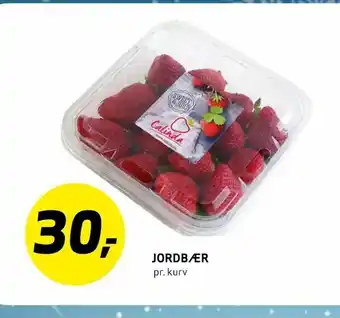 Bunnpris Jordbær tilbud