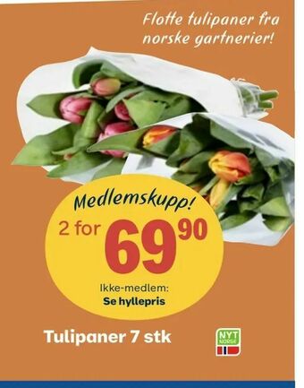 Coop Obs Tulipaner 7 stk tilbud