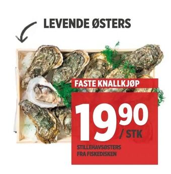 Meny Levende østers tilbud