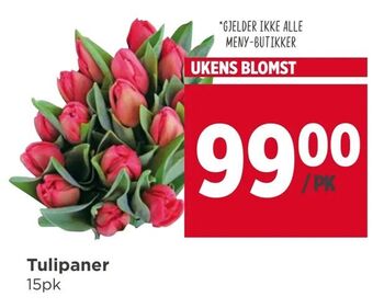 Meny Tulipaner tilbud