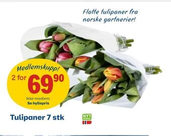Coop Obs Tulipaner 7 stk tilbud
