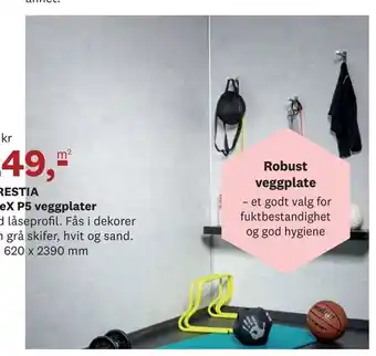 Bygger'n FORESTIA eliteX P5 veggplater tilbud