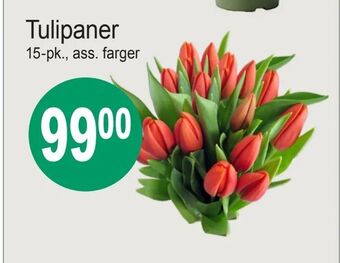 Joker Tulipaner tilbud