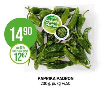 Kiwi Paprika padron tilbud