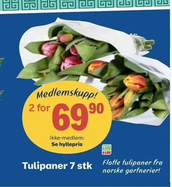 Coop Obs Tulipaner 7 stk tilbud