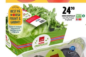 Coop Prix Norsk crispisalat tilbud
