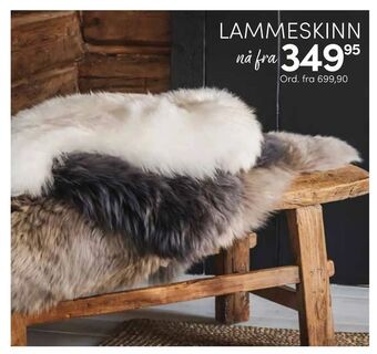 Nille Lammeskinn tilbud