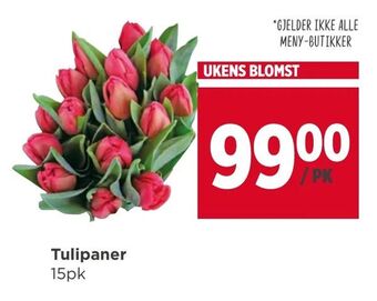 Meny Tulipaner tilbud