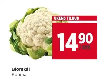 Meny Blomkål tilbud
