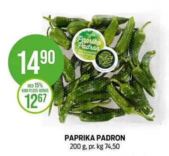 Kiwi Paprika padron tilbud