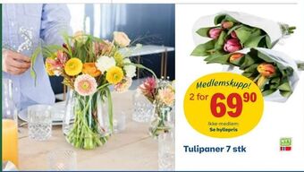 Coop Obs Tulipaner 7 stk tilbud