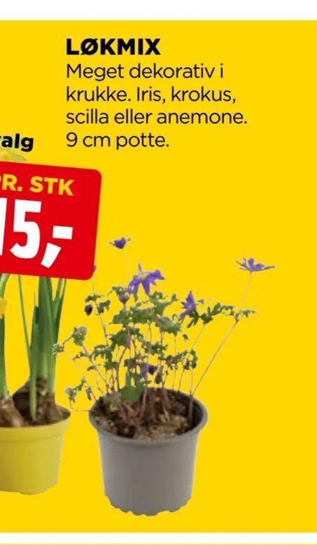 jem & fix Løkmix tilbud