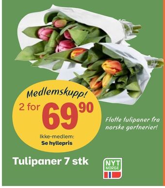 Coop Obs Tulipaner 7 stk tilbud